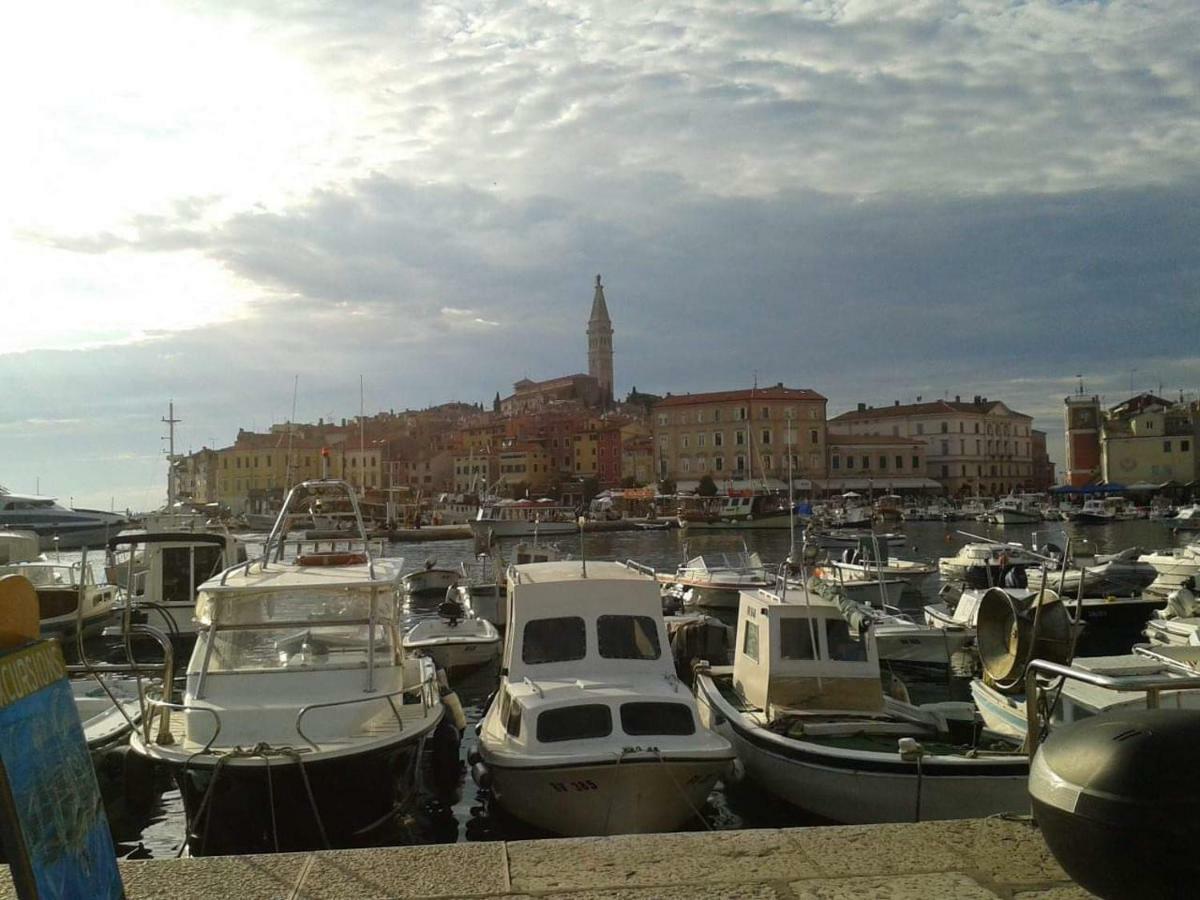 Apartments Erhart Rovinj Exterior foto